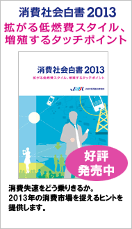 消費社会白書2013
