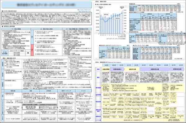 戦略２００＋・企業活動分析　レポートイメージ