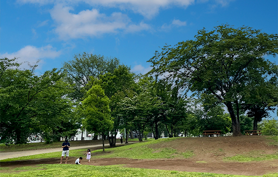 同　市野谷の森