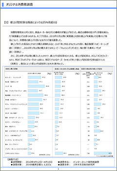 レポートイメージ