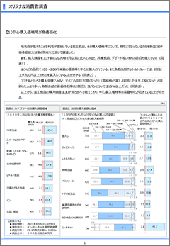 レポートイメージ